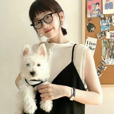 伙伴夫妻